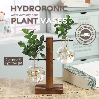 GreenSprout HydroVases